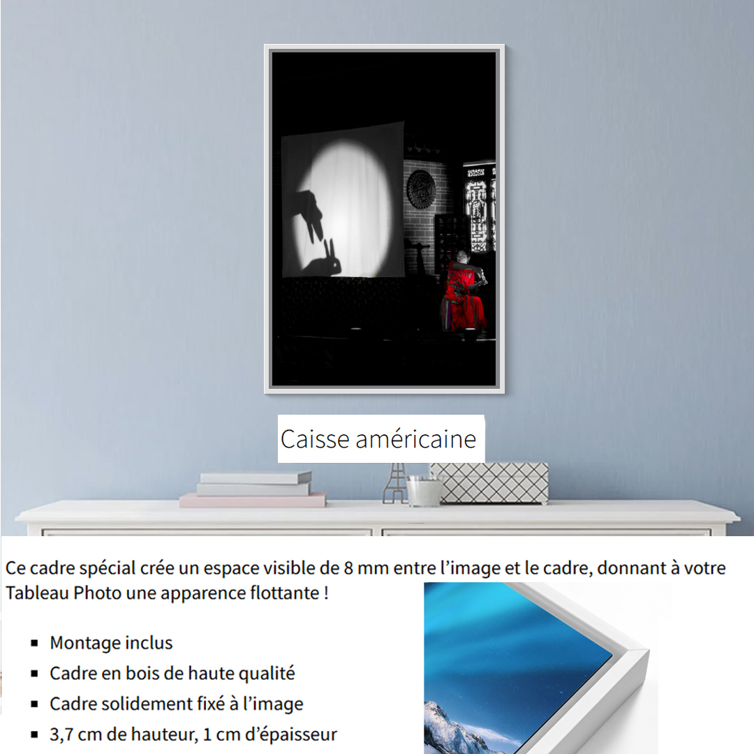 Ombre chinoise – Image 5