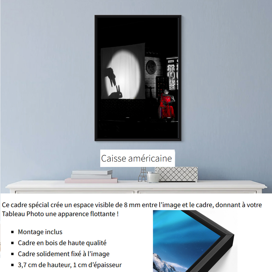 Ombre chinoise – Image 4