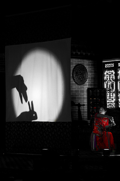 Ombre chinoise – Image 2