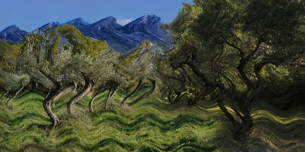 Photographie « Van Gogh », série À la manière de… de Sabine Chabot : Paysage de Provence interprété façon photo Raku® qui s’inspire de l’impressionnisme. Le même point de vue que Van Gogh pour peindre "Oliviers avec les Alpilles", restitué en photographe.