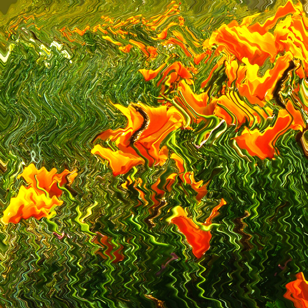 Photographie « Floral », série Photo Raku® de Sabine Chabot : Les pelouses du château interprétées façon photo Raku®.