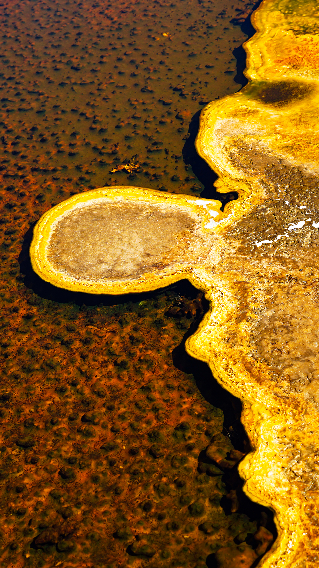 Photographie « Le grand Prismatic 1 », série Prismatic de Sabine Chabot : Au ras du sol, les émanations de soufre donnent un aspect lunaire au paysage.